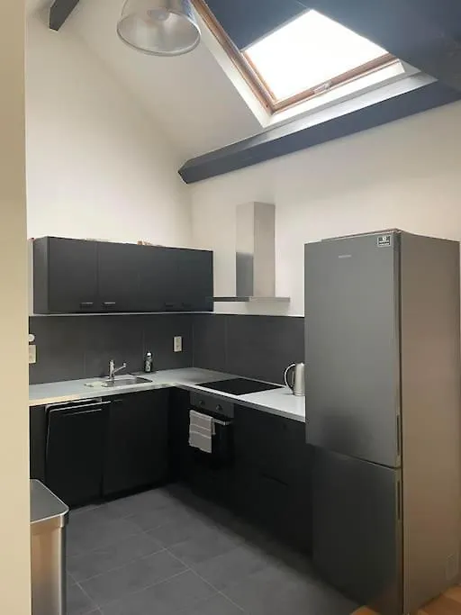 Apartment Ferienwohnung Loft In Saint-Gilles Brüssel